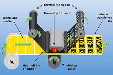 Thermal transfer label printer schematic.