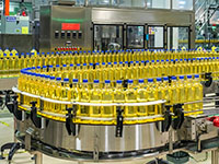 A food processing plant sends hundreds of sterilized glass bottles down the production line.