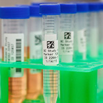 A group of test tubes neatly labeled with barcodes.